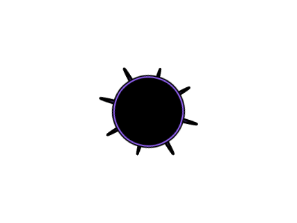 actual working visualizer