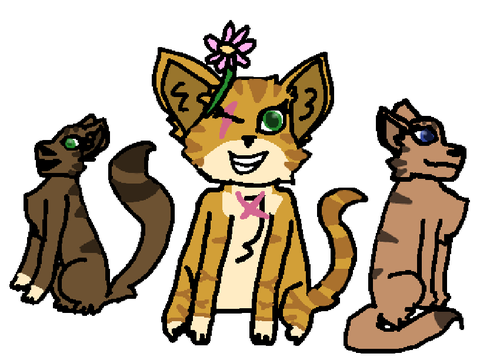 Le joyful and friendly beans