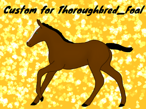 90. Custom for @Thoroughbred_Foal
