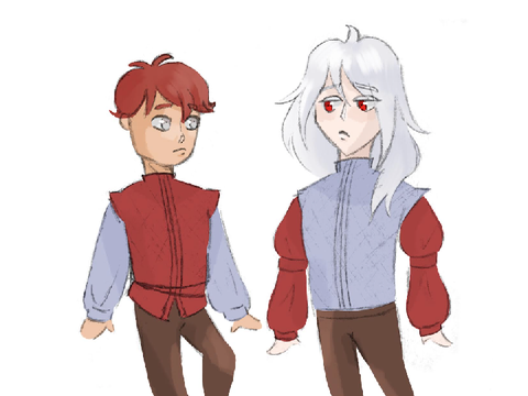 Some folklore and mythology twins