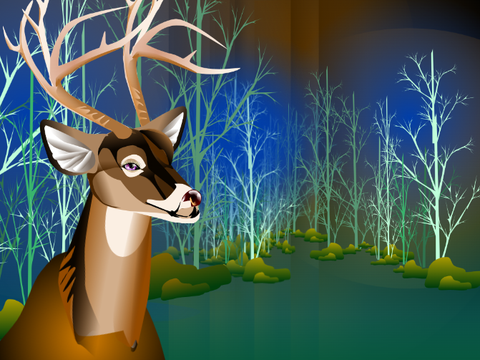 The deer
