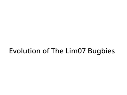 Evolution of The Lim07 Bugbies