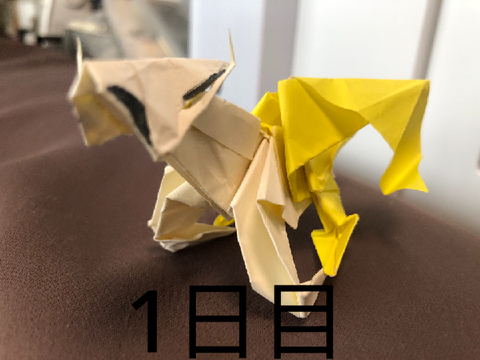 ポケモン推しじゃないやつの1日目と999日目の違い【グッズ編】