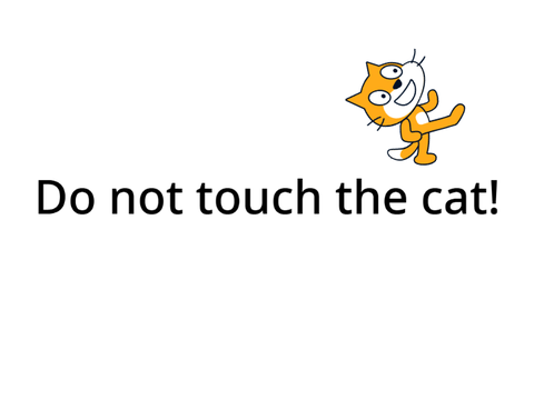 Do not touch the cat!