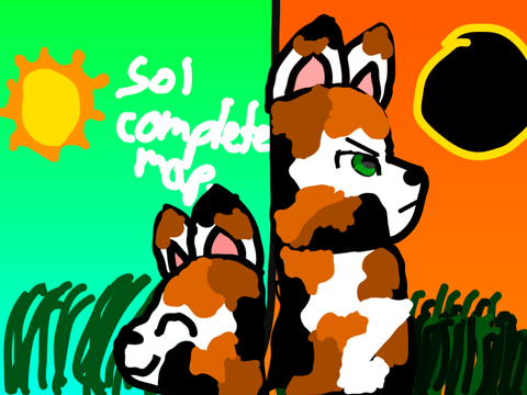 Sol MAP TNE entry