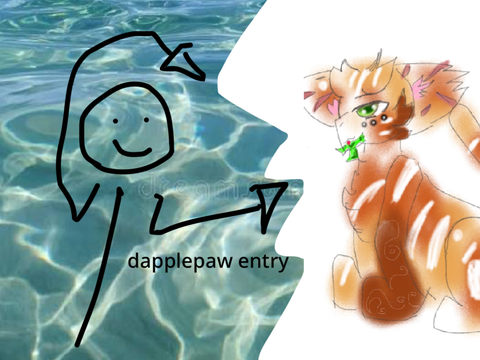 dapplepaw-design a clan