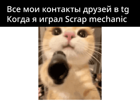 Рил