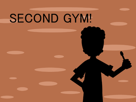 The second gym leader!