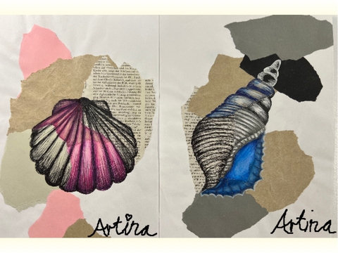 Shells