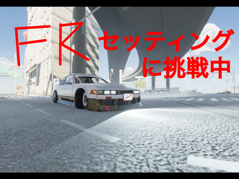 （カーパ2）FRセッティングに挑戦中