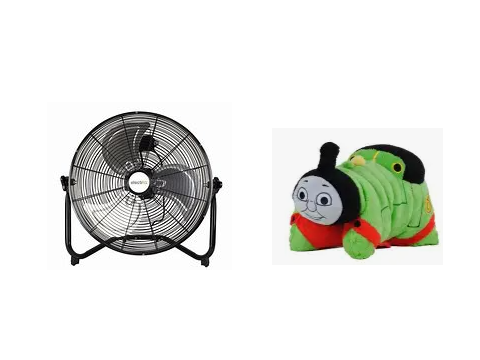 perce eats a fan and dies