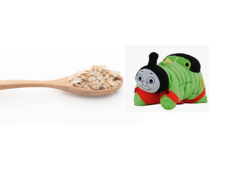 oat meal