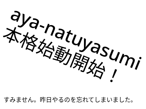 【重要】本格始動開始！aya-natuyasumi