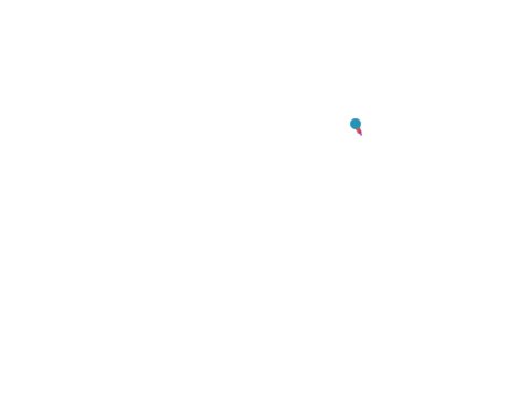 100%pen mouse trail[TEST]