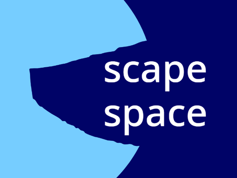*An Endless Insane Ordinary Universe 6- scape space