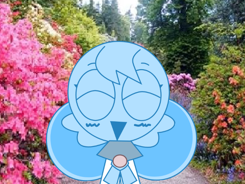 animation :P