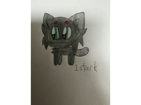 Cat DMCE