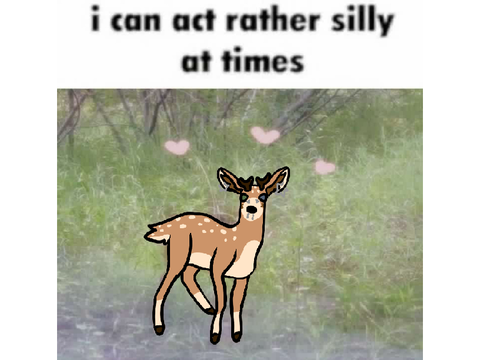 shtuff 