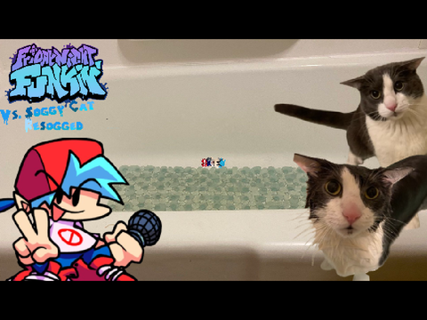 Vs Soggy Cat: Resogged Scratch Port