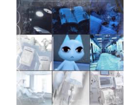 Moodboard for someones pays