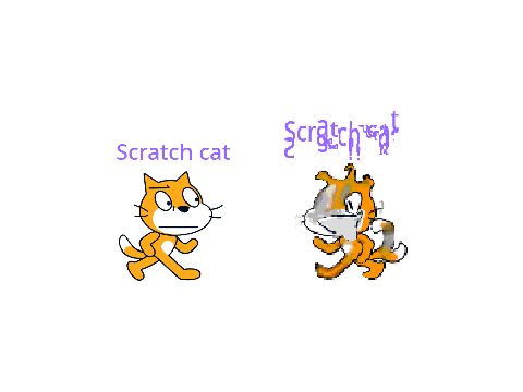 idk..Still Life Scratch