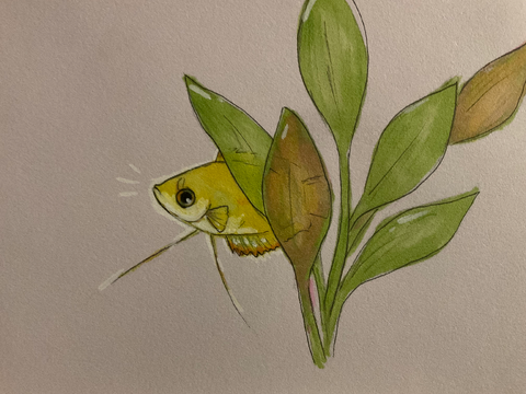 Small art dump :D