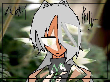 rabbit pvリレー