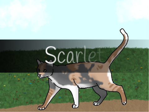 Scarlet