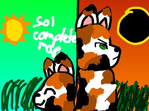 Sol TNE entry