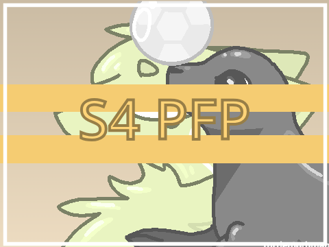 S4 PFP