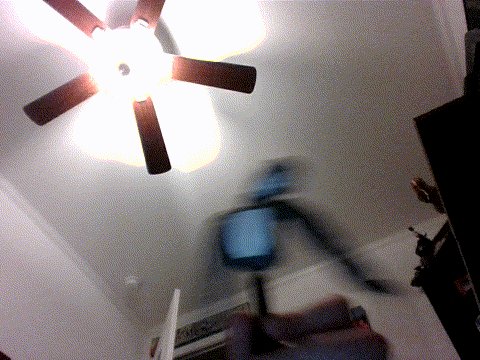 Spin