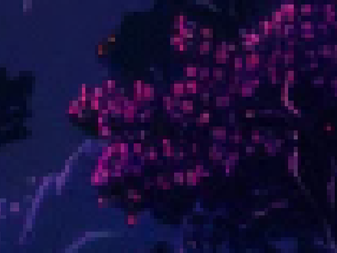 Project thumbnail