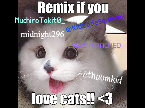 Remix if u like cats remix remix