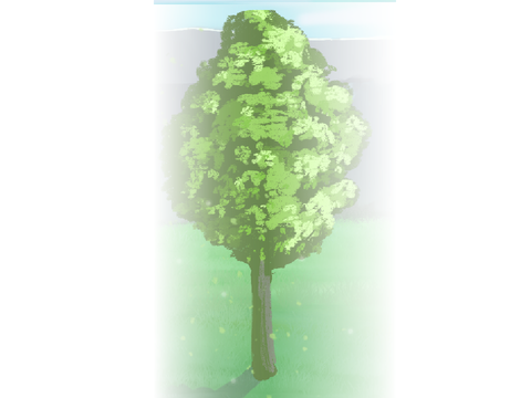 tree