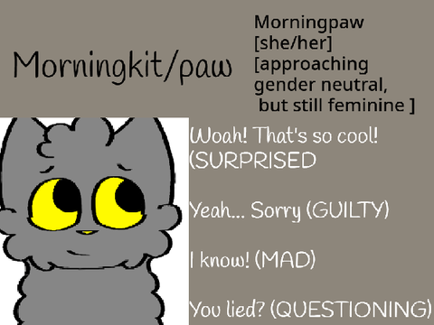 Morningkit/paw audition