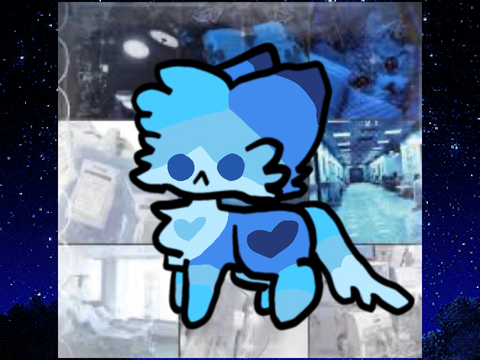 D4DP