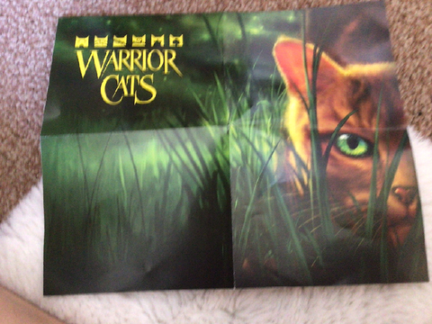 OMG I GOT WARRIORS PLUSHIES