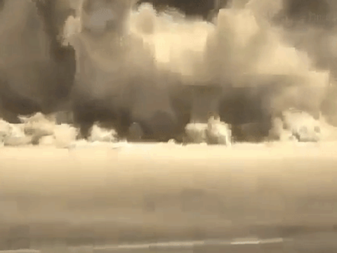H.A.R.F Shorts 47 - petrol spells water