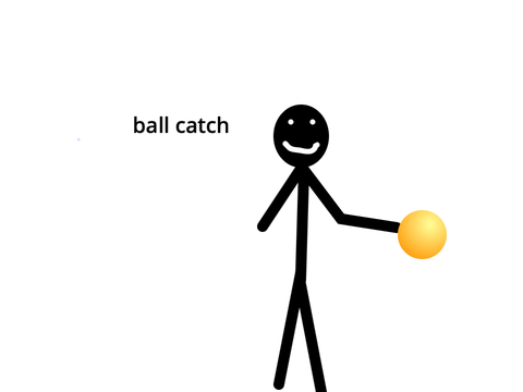 Ball catch