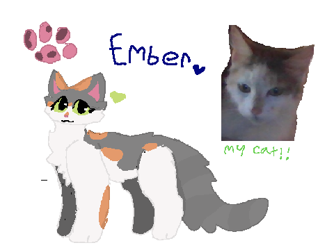 EMBER MY CAT