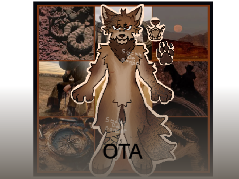 Time drags me back to the desert // Adopt