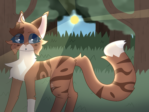 lil redraw