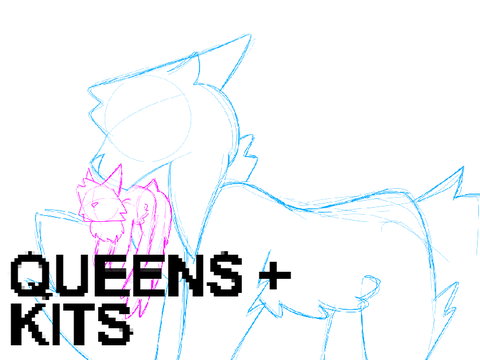 CHAPTER IV: QUEENS + KITS