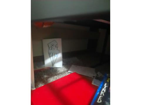 the picture of one I found under my bed