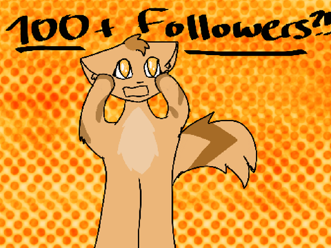 100+ Followers?!