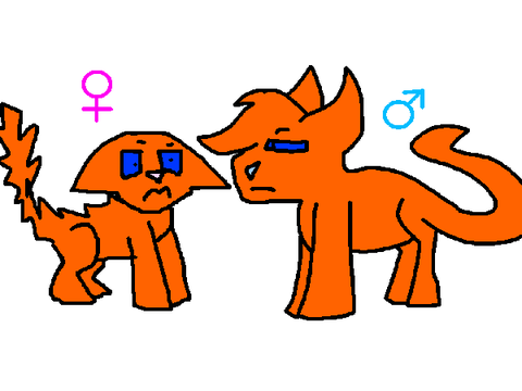 Gender-swap