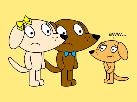 Greg the tummy ache Labrador