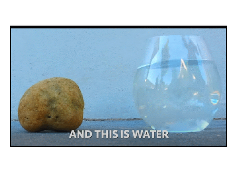 What happens when you pour water on a rock