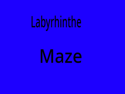 Maze Starter / Labyrhinte