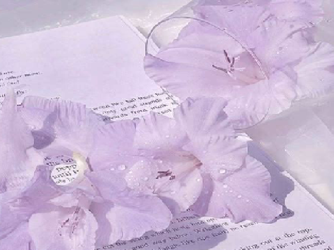 ⊛ pastel purple book & flowers ⊛